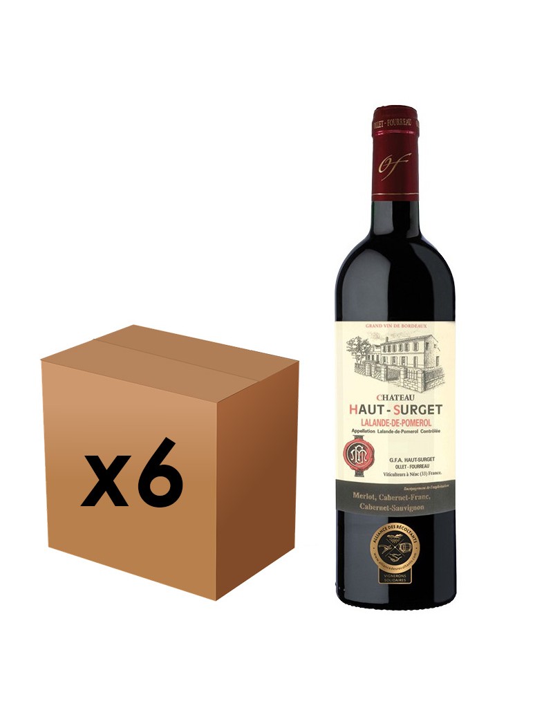 Château Haut Surget 2020 - Au carton (6 bouteilles)